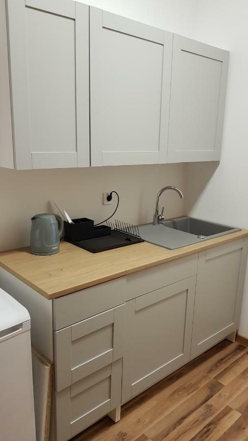 Apartament Nr 15 - 2 Pokoje Z Prywatnymi Lazienkami Centrum Poznan Exterior photo